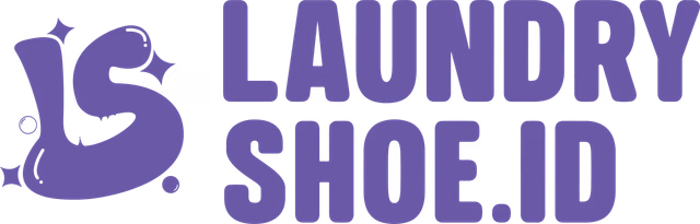 Laundryshoe